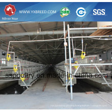 Poultry Chicken Farming Equipment